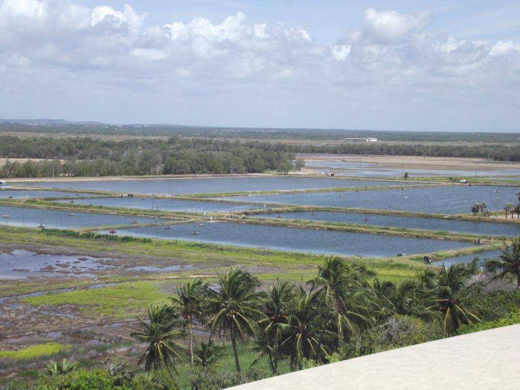 Apart Canoa Quebrada Luaran gambar